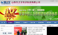 運(yùn)城龍之宇網(wǎng)站設(shè)計(jì),程序開(kāi)發(fā)